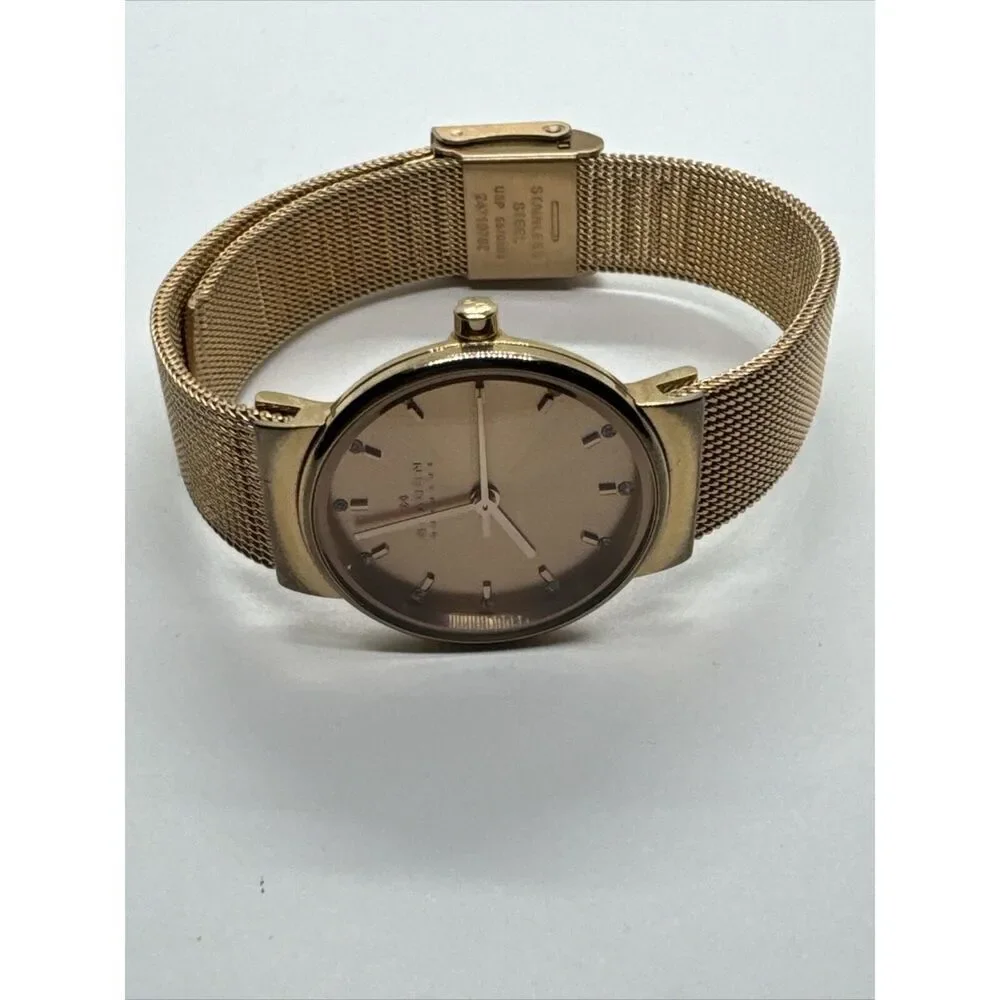 Skagen Ancher SKW2197 Women Stainless Steel Mesh Analog Dial Quartz Watch AEA012
